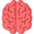 sbrain-qotcfw86wco2aq6zfdo474n0wis8tue4qxavsmhkbk